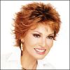 Beautiful Raquel Welch Brand name Wigs